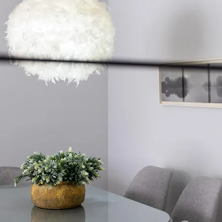 Cozy Familiar Retreat In The Centre Of Apartment